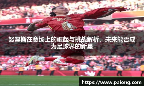 努涅斯在赛场上的崛起与挑战解析，未来能否成为足球界的新星